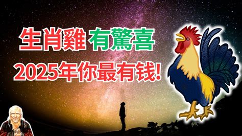 屬雞適合的顏色|雞年開運色：2024年必備指南